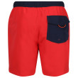 Pánske plavky Regatta Bentham swim short