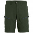Pánske kraťasy Salewa Puez Dry M Shorts - kombu green