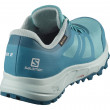 Dámske topánky Salomon Trailster 2 Gtx W