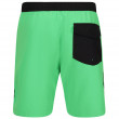 Pánske plavky Regatta Bentham swim short