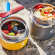 Termoska na jedlo Hydro Flask 20 oz Insulated Food Jar