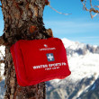 Lekárnička Lifesystems Winter Sports Pre First Aid Kit
