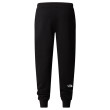 Pánske tepláky The North Face M Drew Peak Pant