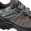Dámske topánky Salomon X Ultra 3 LTR GTX W