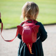 Detský batoh LittleLife Animal Toddler Backpack Dragon