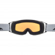 Lyžiarske okuliare Alpina Double Jack QLite