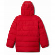Detská zimná bunda Columbia Arctic Blast™ Jkt