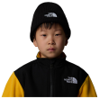 Čiapka The North Face Kids Tnf Box Logo Cuffed Beanie