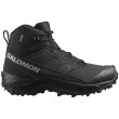 Pánske topánky Salomon Crosstrak Waterproof