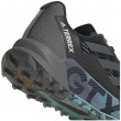 Dámske topánky Adidas Terrex Agravic Flow 2 GTX W