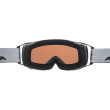 Lyžiarske okuliare Alpina Double Jack Mag QLite