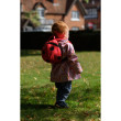 Detský batoh LittleLife Toddler Backpack - Ladybird