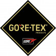 Pánske topánky Merrell Accentor Sport GTX