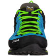 Pánske topánky Salewa Ms Mtn Trainer 2 Gtx