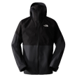 Pánska bunda The North Face M Jazzi Gtx Jacket šedá