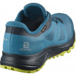 Pánske topánky Salomon Trailster 2 Gtx