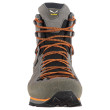 Pánske topánky Salewa Ms Mtn Trainer 2 Winter Gtx