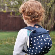 Detský batoh Littlelife Toddler Backpack Ryba