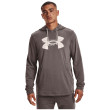 Pánska mikina Under Armour Rival Terry Logo Hoodie