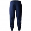 Pánske tepláky The North Face NSE Light Pant