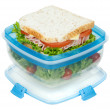 Box na potraviny Sistema Salad + Sandwich TO GO 1,63L