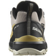 Pánske turistické topánky Salomon X Ultra 360 GTX