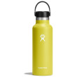 Termofľaša Hydro Flask Standard Mouth 18 oz žltá/zelená cactus