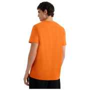 Pánske tričko 4F Tshirt M3138
