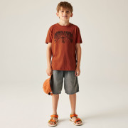 Detské tričko Dare 2b Trailbazer III Tee Arabian Spice