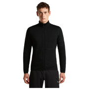 Pánska mikina Icebreaker M Mer 400 RealFleece Descender LS Z
