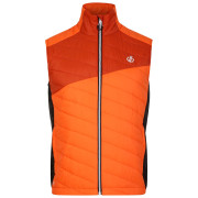 Pánska vesta Dare 2b Touring Gilet oranžová Puffins Orange/Rooibos Tea