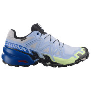 Pánske bežecké topánky Salomon Speedcross 6 GTX Icon