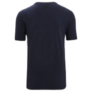 Pánske tričko Icebreaker Men Central Classic SS Tee