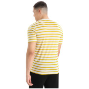 Pánske tričko Icebreaker Drayden SS Tee Stripe