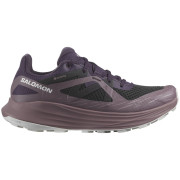 Dámske bežecké topánky Salomon Ultra Flow GTX