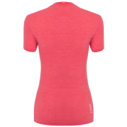 Dámske tričko Salewa Zebru Fresh Amr W T-Shirt.