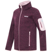 Detská mikina Regatta Junior Newhill Fig Powder Lilac