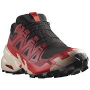 Pánske bežecké topánky Salomon Speedcross 6 Gore-Tex čierna/červená Black / Red Dalhia / Poppy Red