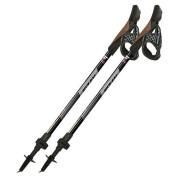 Nordic Walking palice Fizan R-Evolution