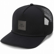 Šiltovka Dakine Coastline Trucker čierna/sivá black