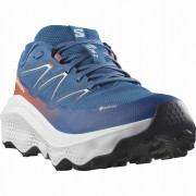 Pánske topánky Salomon Ultra Flow 2 Gore-Tex modrá Dark Blue / Ballad Blue / Cherry Tomato