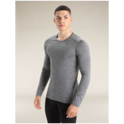 Pánske tričko Icebreaker Mens 200 Oasis LS Crewe
