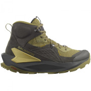 Pánske topánky Salomon Elixir Mid Gore-Tex