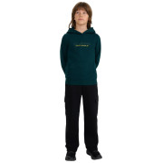 Detská mikina 4F Sweatshirt M1959