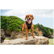 Postroj pre psa Mountain Paws Dog Harness