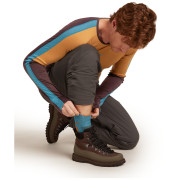 Pánske teplé ponožky Icebreaker Men Merino Hike+ Heavy Crew