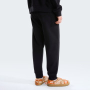 Pánske tepláky The North Face M Evolution Simple Dome Regular Jogger