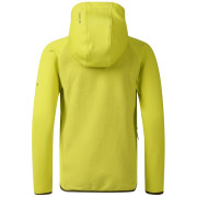 Detská bunda Dare 2b Kids Switch Out Hybrid Frg/Gldncyp