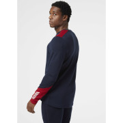 Pánske funkčné tričko Helly Hansen Lifa Merino Midweight Crew