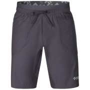 Pánske kraťasy Direct Alpine Solo Shorts 3.0 sivá/čierna anthracite